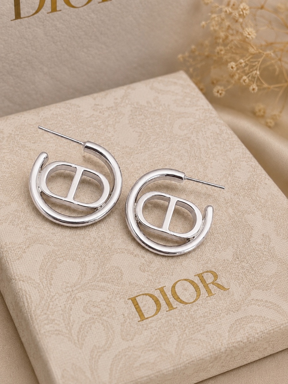 Modern fashion Earrings